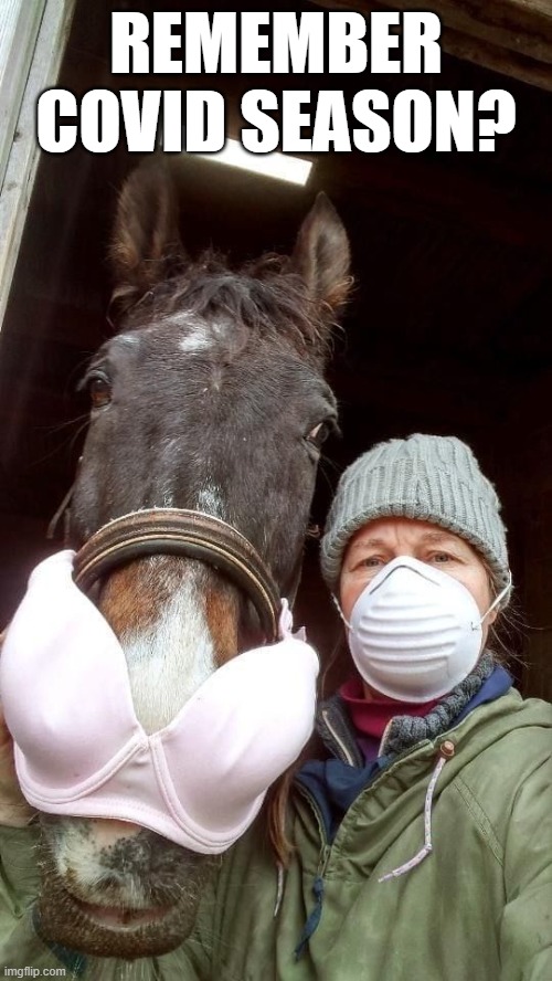 Mask Your Horse | REMEMBER COVID SEASON? | image tagged in unsee juice | made w/ Imgflip meme maker