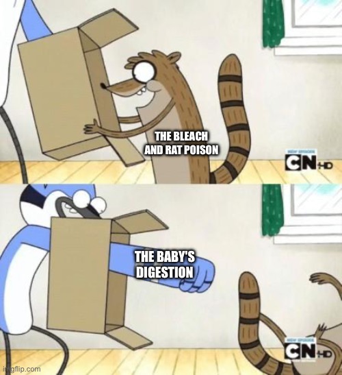 Mordecai Punches Rigby Through a Box | THE BABY'S DIGESTION THE BLEACH AND RAT POISON | image tagged in mordecai punches rigby through a box | made w/ Imgflip meme maker