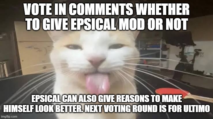 Milly the silly cat Bleh Cat | VOTE IN COMMENTS WHETHER TO GIVE EPSICAL MOD OR NOT; EPSICAL CAN ALSO GIVE REASONS TO MAKE HIMSELF LOOK BETTER. NEXT VOTING ROUND IS FOR ULTIMO | image tagged in milly the silly cat bleh cat | made w/ Imgflip meme maker