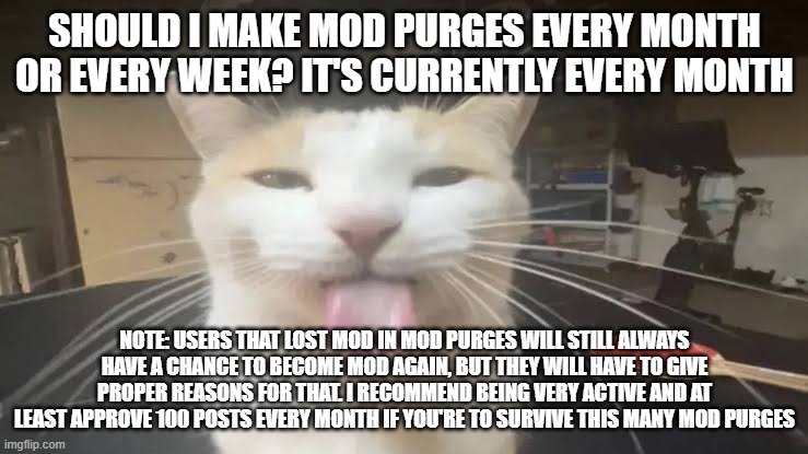 i will hear of yall's opinions and if you have something to share, but it's up to the owners to decide in the end | SHOULD I MAKE MOD PURGES EVERY MONTH OR EVERY WEEK? IT'S CURRENTLY EVERY MONTH; NOTE: USERS THAT LOST MOD IN MOD PURGES WILL STILL ALWAYS HAVE A CHANCE TO BECOME MOD AGAIN, BUT THEY WILL HAVE TO GIVE PROPER REASONS FOR THAT. I RECOMMEND BEING VERY ACTIVE AND AT LEAST APPROVE 100 POSTS EVERY MONTH IF YOU'RE TO SURVIVE THIS MANY MOD PURGES | image tagged in milly the silly cat bleh cat,sans of topic | made w/ Imgflip meme maker