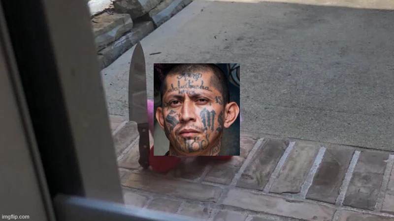 meawhile in california | image tagged in kirby,riots,meme,illegal immigration | made w/ Imgflip meme maker