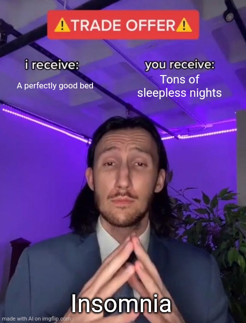 Trade Offer | A perfectly good bed; Tons of sleepless nights; Insomnia | image tagged in trade offer | made w/ Imgflip meme maker