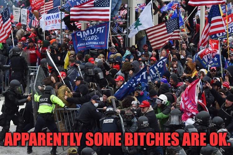 APPARENTLY SOME BITCHES ARE OK. | made w/ Imgflip meme maker