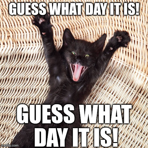 Friday the 13th | GUESS WHAT DAY IT IS! GUESS WHAT
 DAY IT IS! | image tagged in black cat | made w/ Imgflip meme maker