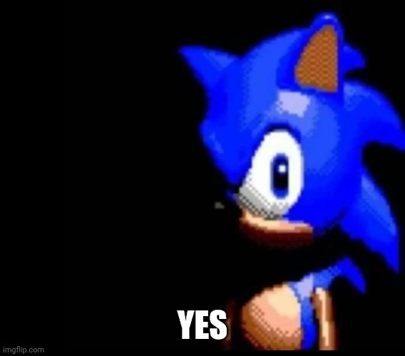 Sonic stares | YES | image tagged in sonic stares | made w/ Imgflip meme maker