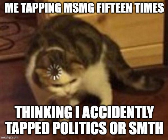 Dude | ME TAPPING MSMG FIFTEEN TIMES; THINKING I ACCIDENTLY TAPPED POLITICS OR SMTH | image tagged in loading cat | made w/ Imgflip meme maker
