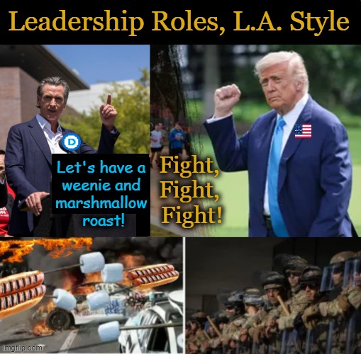 Destructive Bratty Tantrums vs Law & Order Adulting | Leadership Roles, L.A. Style; Fight, 
Fight, 
Fight! Let's have a 
weenie and 
marshmallow 
roast! | image tagged in liberals vs conservatives,riots,spoiled brats,kids vs adults,law and order,destroy america or make america great again | made w/ Imgflip meme maker
