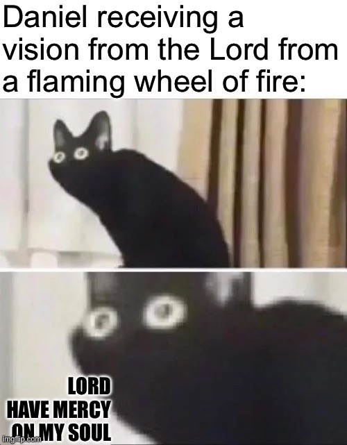 Oh No Black Cat | Daniel receiving a vision from the Lord from a flaming wheel of fire:; LORD HAVE MERCY ON MY SOUL | image tagged in oh no black cat,holy bible,funny,memes,haha | made w/ Imgflip meme maker