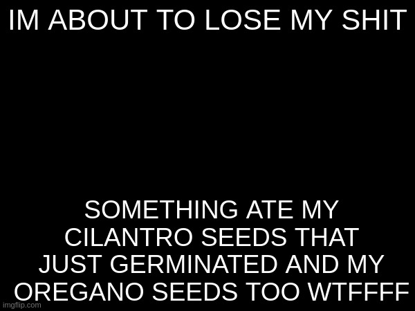 IM ABOUT TO LOSE MY SHIT; SOMETHING ATE MY CILANTRO SEEDS THAT JUST GERMINATED AND MY OREGANO SEEDS TOO WTFFFF | made w/ Imgflip meme maker
