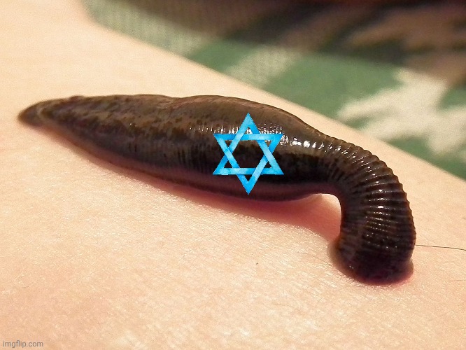 Parasite | image tagged in parasite | made w/ Imgflip meme maker