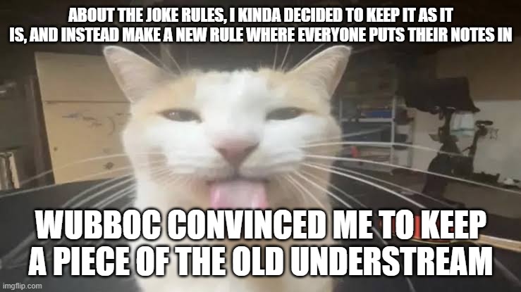 Milly the silly cat Bleh Cat | ABOUT THE JOKE RULES, I KINDA DECIDED TO KEEP IT AS IT IS, AND INSTEAD MAKE A NEW RULE WHERE EVERYONE PUTS THEIR NOTES IN; WUBBOC CONVINCED ME TO KEEP A PIECE OF THE OLD UNDERSTREAM | image tagged in milly the silly cat bleh cat | made w/ Imgflip meme maker