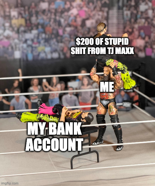 My Bank Account | $200 OF STUPID SHIT FROM TJ MAXX; ME; MY BANK ACCOUNT | image tagged in pro wrestling,bank account | made w/ Imgflip meme maker