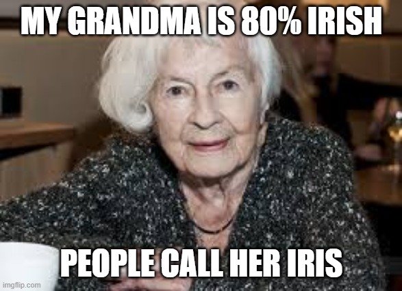Grandmother | MY GRANDMA IS 80% IRISH; PEOPLE CALL HER IRIS | image tagged in grandmother | made w/ Imgflip meme maker