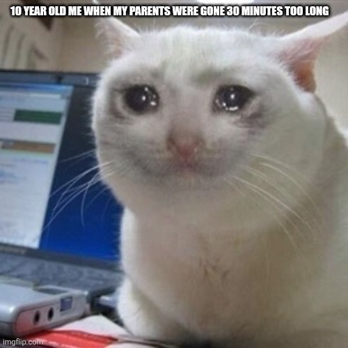 WHERE TF ARE MY PARENTS??? | 10 YEAR OLD ME WHEN MY PARENTS WERE GONE 30 MINUTES TOO LONG | image tagged in crying cat | made w/ Imgflip meme maker