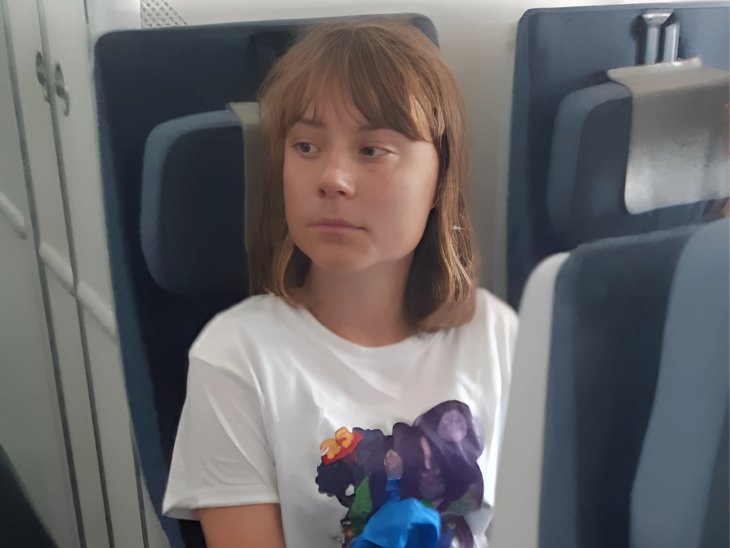 Greta Thunberg on a plane Blank Meme Template