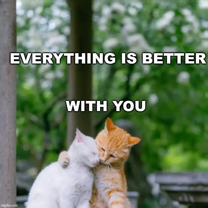 Everything is Better with You | EVERYTHING IS BETTER; WITH YOU | image tagged in you,i love you,cats,i m going to change the world for the better right star wars,better,together | made w/ Imgflip meme maker