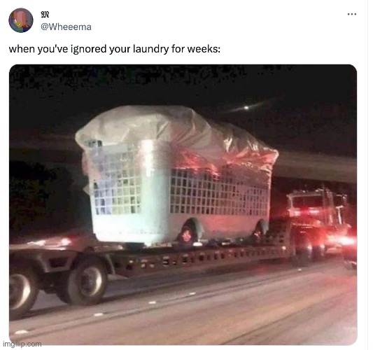 Our mom makes us keep up with our laundry, but still. Hypothetically. | image tagged in memes,lol | made w/ Imgflip meme maker
