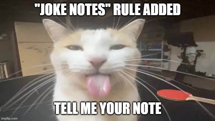 Milly the silly cat Bleh Cat | "JOKE NOTES" RULE ADDED; TELL ME YOUR NOTE | image tagged in milly the silly cat bleh cat,sans of topic | made w/ Imgflip meme maker