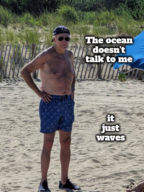 Joe Biden beach | The ocean doesn't talk to me it just waves | image tagged in joe biden beach | made w/ Imgflip meme maker