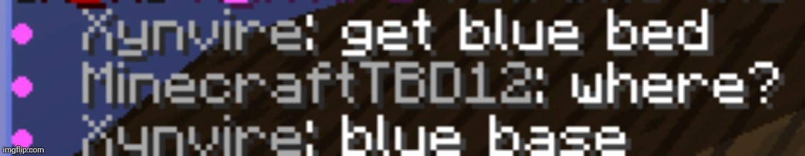 Insane intelligent team | image tagged in bedwars | made w/ Imgflip meme maker