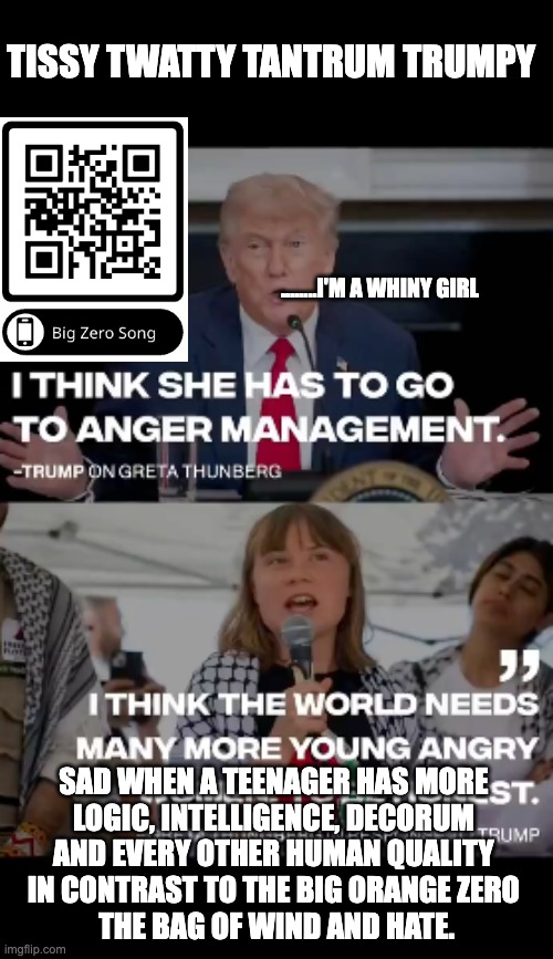 Tantrum Trump | TISSY TWATTY TANTRUM TRUMPY; ........I'M A WHINY GIRL; SAD WHEN A TEENAGER HAS MORE 
LOGIC, INTELLIGENCE, DECORUM 
AND EVERY OTHER HUMAN QUALITY 
IN CONTRAST TO THE BIG ORANGE ZERO 
THE BAG OF WIND AND HATE. | image tagged in tissy twatty tantrum trumpy | made w/ Imgflip meme maker