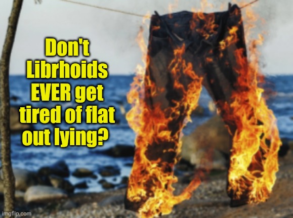 Pants on fire | Don't Librhoids EVER get tired of flat out lying? | image tagged in pants on fire | made w/ Imgflip meme maker