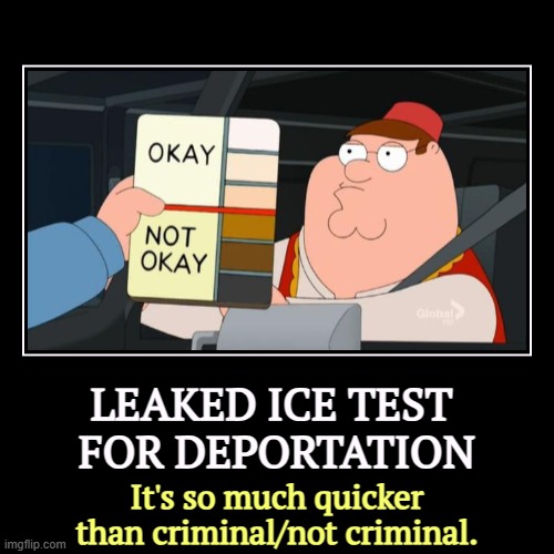 LEAKED ICE TEST 
FOR DEPORTATION | It's so much quicker than criminal/not criminal. | image tagged in funny,demotivationals,trump,deportation,illegal immigration,ice | made w/ Imgflip demotivational maker