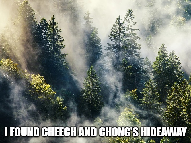 I FOUND CHEECH AND CHONG'S HIDEAWAY | image tagged in originalcontentonly,cheech and chong,marijuana | made w/ Imgflip meme maker