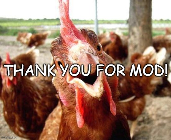 TYSM! | THANK YOU FOR MOD! | image tagged in chicken | made w/ Imgflip meme maker