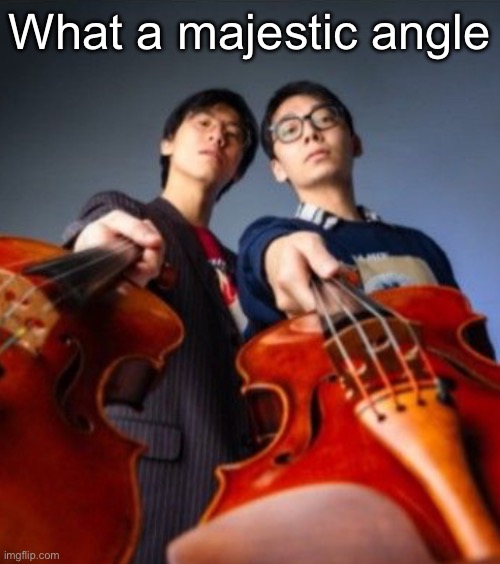 Go practice | What a majestic angle | image tagged in go practice | made w/ Imgflip meme maker