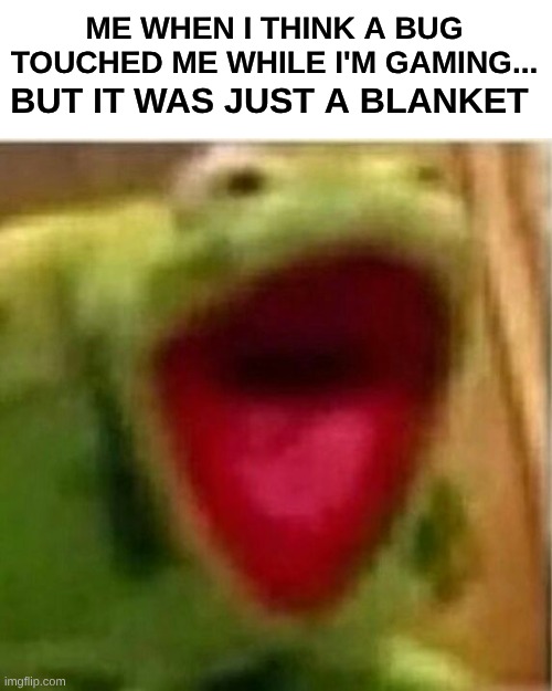 gaming meme | ME WHEN I THINK A BUG TOUCHED ME WHILE I'M GAMING... BUT IT WAS JUST A BLANKET | image tagged in ahhhhhhhhhhhhh | made w/ Imgflip meme maker