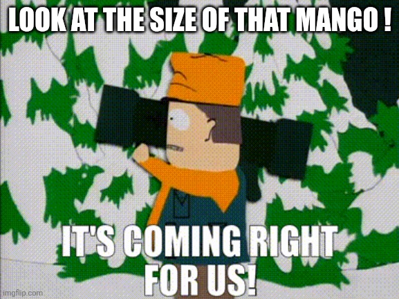 LOOK AT THE SIZE OF THAT MANGO ! | made w/ Imgflip meme maker
