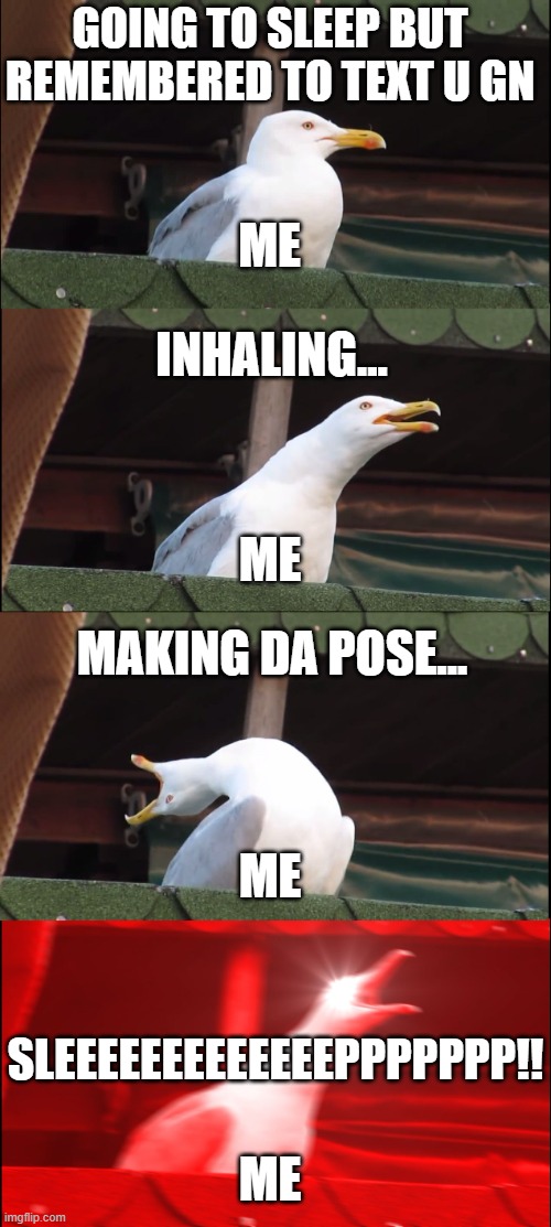 REMEMBER TO TEXT YOUR FRIENDS GOOD NIGHT!!!!!! | GOING TO SLEEP BUT REMEMBERED TO TEXT U GN; ME; INHALING... ME; MAKING DA POSE... ME; SLEEEEEEEEEEEEEPPPPPPP!! ME | image tagged in memes,inhaling seagull,good night,sleep,funny meme | made w/ Imgflip meme maker