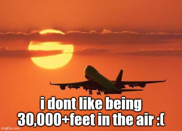 airplanelove | i dont like being 30,000+feet in the air :( | image tagged in airplanelove | made w/ Imgflip meme maker