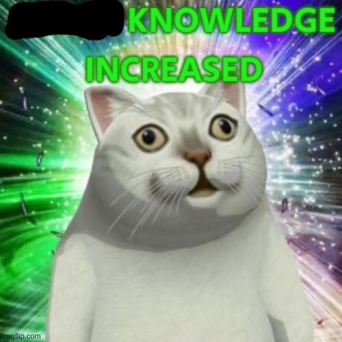 weird knowledge increased | image tagged in weird knowledge increased | made w/ Imgflip meme maker