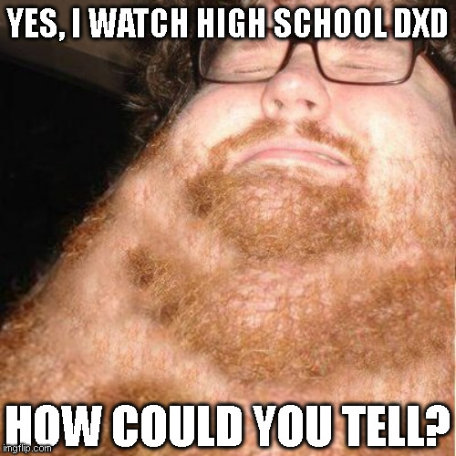 Neck Beard | YES, I WATCH HIGH SCHOOL DXD; HOW COULD YOU TELL? | image tagged in neck beard | made w/ Imgflip meme maker