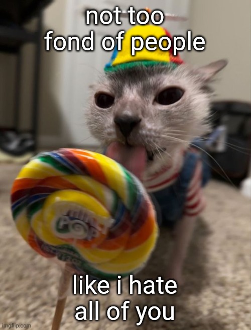 have a nice day though | not too fond of people; like i hate all of you | image tagged in silly goober | made w/ Imgflip meme maker