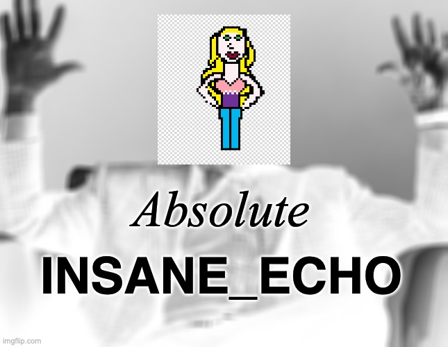 Absolute Insane_Echo Blank Meme Template