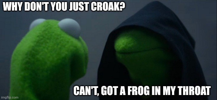 Evil Kermit | WHY DON'T YOU JUST CROAK? CAN'T, GOT A FROG IN MY THROAT | image tagged in memes,evil kermit | made w/ Imgflip meme maker