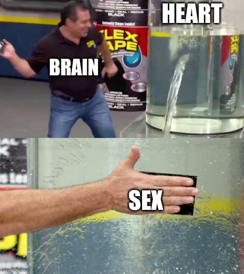 Cureall | HEART; BRAIN; SEX | image tagged in flex tape,relationships,love,memes,sex,funny | made w/ Imgflip meme maker