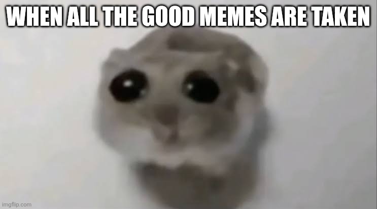 Saf | WHEN ALL THE GOOD MEMES ARE TAKEN | image tagged in sad hamster | made w/ Imgflip meme maker