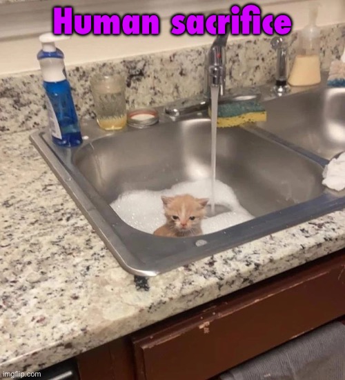 Baf | Human sacrifice | image tagged in baf | made w/ Imgflip meme maker