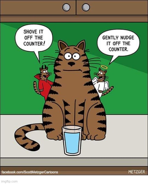 Choices… | image tagged in cats,comics | made w/ Imgflip meme maker