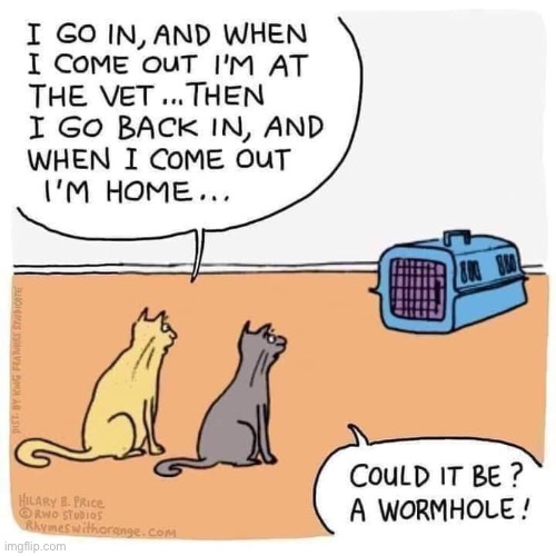 It might be… | image tagged in cats,comics,cat carrier | made w/ Imgflip meme maker