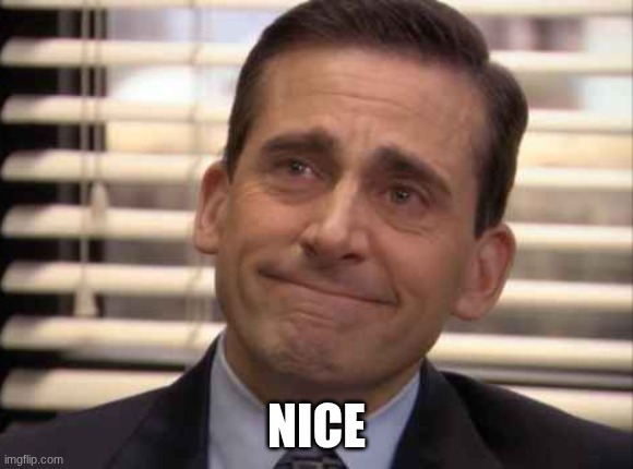 wholesome | NICE | image tagged in wholesome | made w/ Imgflip meme maker