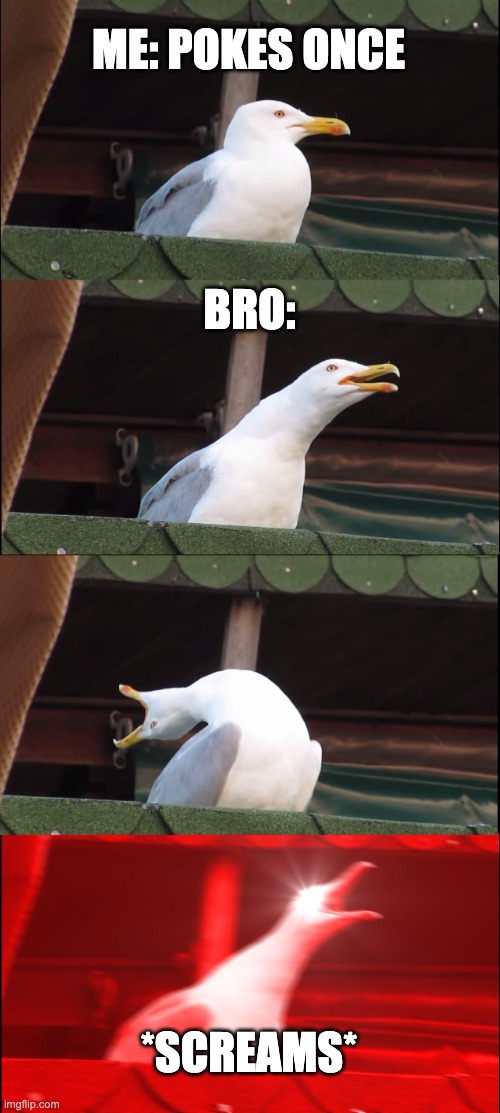 Inhaling Seagull | ME: POKES ONCE; BRO:; *SCREAMS* | image tagged in memes,inhaling seagull | made w/ Imgflip meme maker