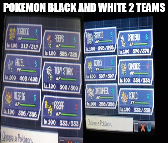 pokemon black and white 2 teams | POKEMON BLACK AND WHITE 2 TEAMS | image tagged in pokemon,video games,pokemon black and white 2,tds,gaming,pokemon teams | made w/ Imgflip meme maker