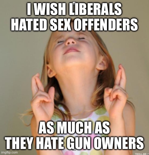 I wish | I WISH LIBERALS HATED SEX OFFENDERS; AS MUCH AS THEY HATE GUN OWNERS | image tagged in i wish | made w/ Imgflip meme maker