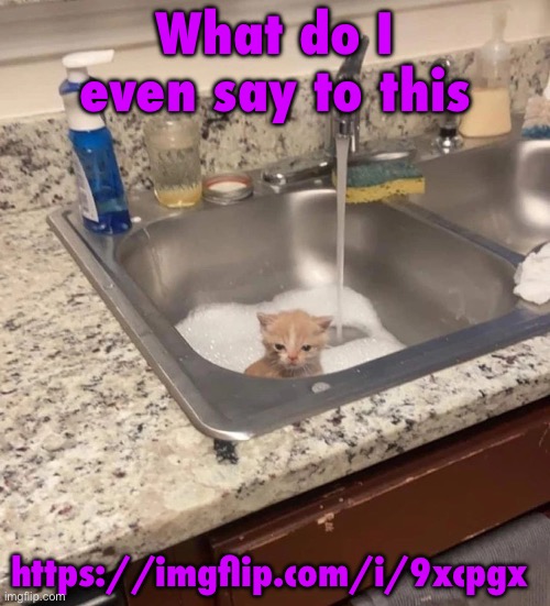 Baf | What do I even say to this; https://imgflip.com/i/9xcpgx | image tagged in baf | made w/ Imgflip meme maker