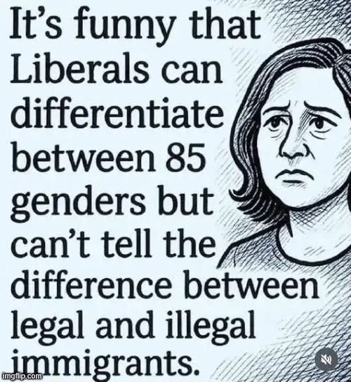 No one is above the law...  except illegals according to libs | image tagged in political,reposts,libs do not know the difference | made w/ Imgflip meme maker